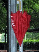 Sommerfest im Hirschgarten 2008