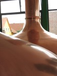 Bild8